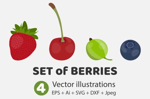 Download Berries Set Vector Illustrations - Premium Resources