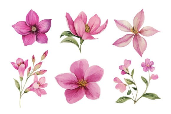 Download Pink Watercolor Flower Clipart Set - Clipart Collection