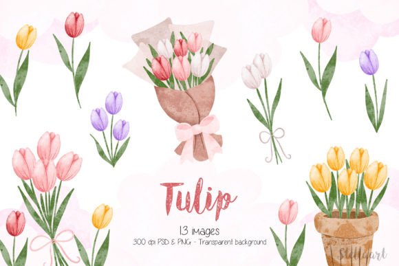 Download Watercolor Illustration Set of Tulip - Watercolor illustration Collection