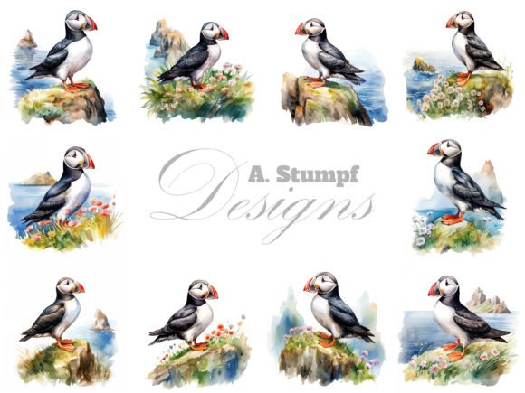 Download Atlantic Puffin Watercolor Bird Clipart - Clipart Collection