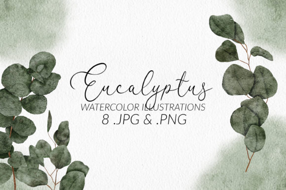 Download Eucalyptus Watercolor Illustration Set - Watercolor illustration Collection