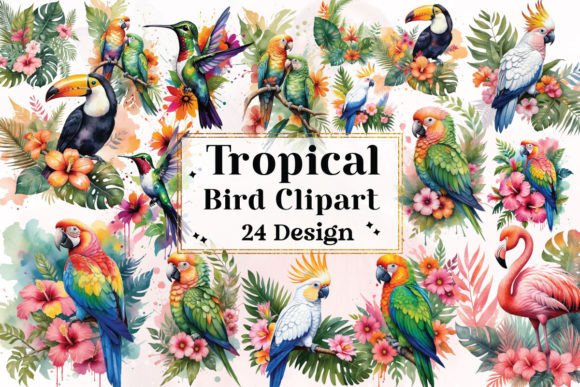 Download Tropical Bird Clipart Bundle - Clipart Collection