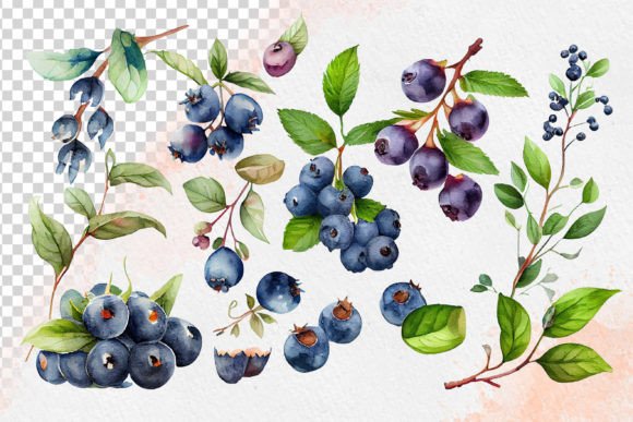 Download Watercolor Blueberries Cliparts - Clipart Collection