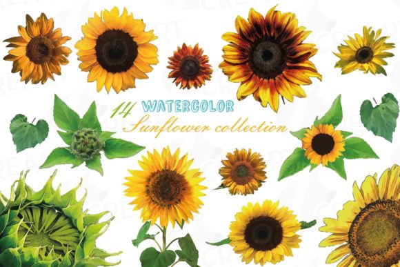 Download Sunflower Watercolour Decor Clipart Pack - Clipart Collection