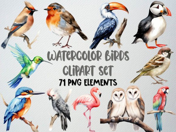 Download Watercolor Birds Clipart, Tropical Bird - Clipart Collection