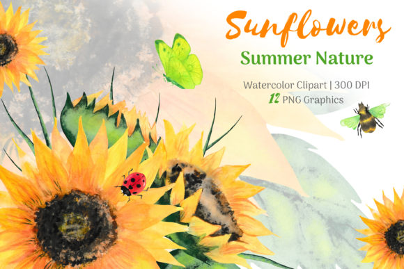 Download Sunflower Watercolor Clipart - Clipart Collection