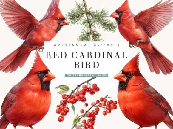 Download Watercolor Red Cardinal Bird Clipart - Clipart Collection