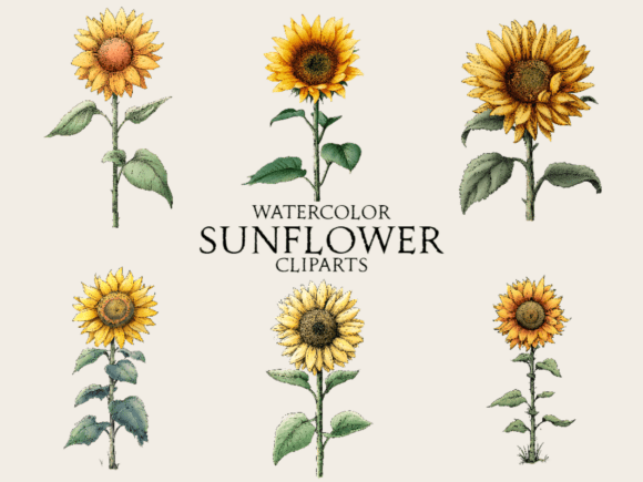 Download Watercolor Sunflower Clipart - Clipart Collection