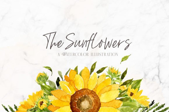 Download Sunflowers Watercolor Illustrations - Watercolor illustration Collection