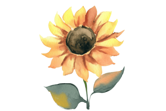 Download Fall Sunflower Watercolor Clipart Vol–8 - Clipart Collection