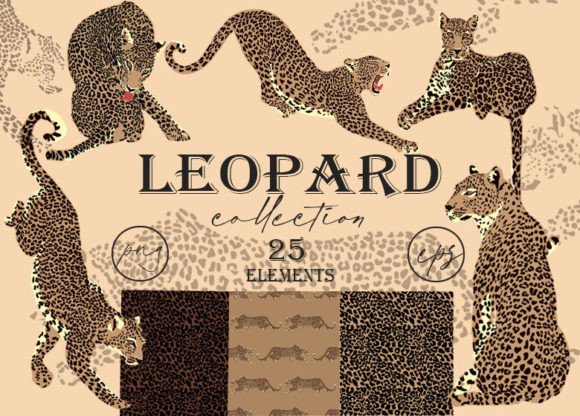 Download Leopard Clipart. Tropic Print. Patterns - Clipart Collection