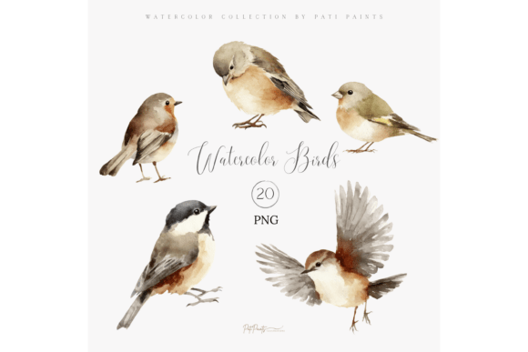 Download Watercolor Bird Clipart Bundle - Clipart Collection