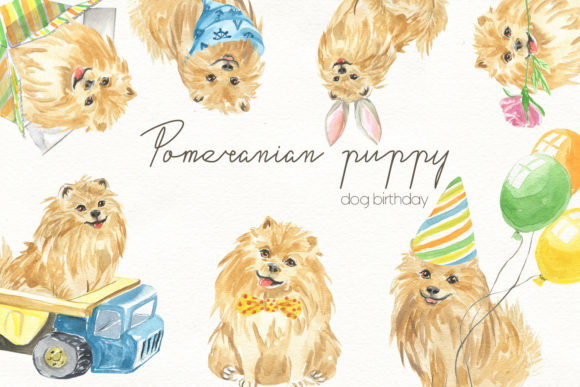 Download Watercolor Illustration of a Pomeranian - Watercolor illustration Collection