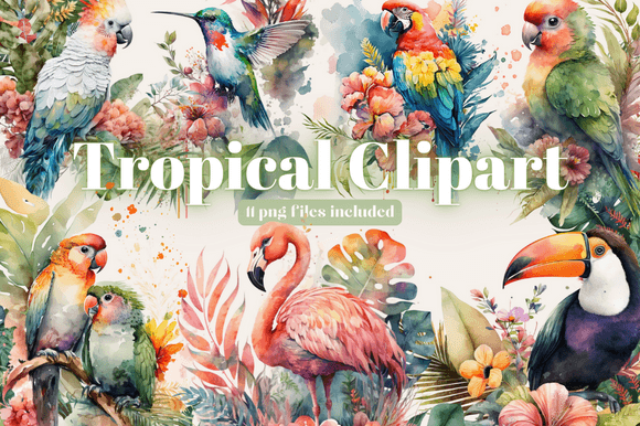 Download Tropical Bird Clipart Bundle - Clipart Collection