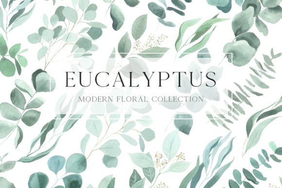 Download Watercolor Eucalyptus Leaves Clipart PNG - Clipart Collection