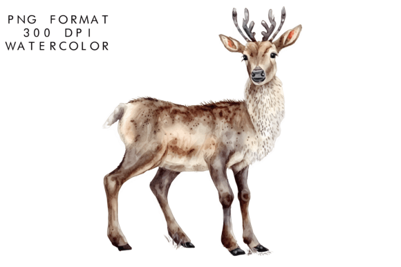 Download Watercolor Reindeer Clipart - Clipart Collection