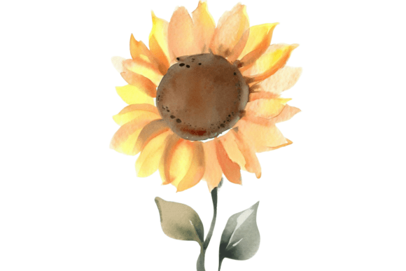 Download Fall Sunflower Watercolor Clipart Vol–7 - Clipart Collection