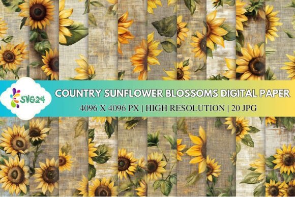 Download Country Sunflower Blossoms Digital Paper - Digital paper Collection