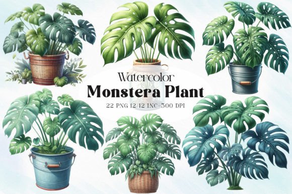 Download Monstera Plant Clipart - Clipart Collection