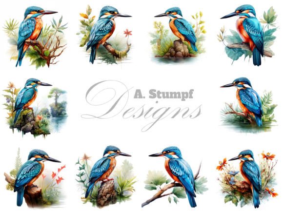 Download Kingfisher Watercolor Bird Clipart Set - Clipart Collection