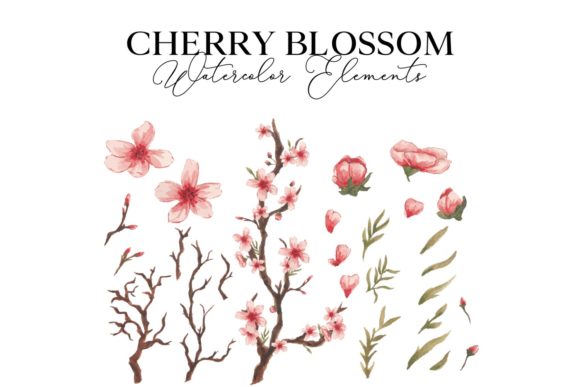 Download Cherry Blossom Watercolor Illustration - Watercolor illustration Collection