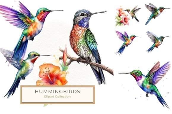 Download Vibrant Watercolor Hummingbird Clipart - Clipart Collection