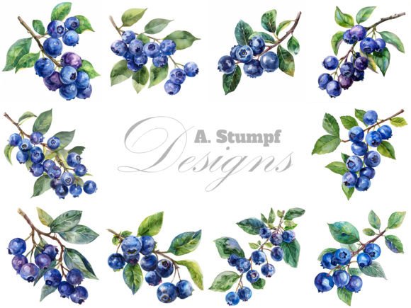 Download Blueberry Watercolor Fruits Clipart Set - Clipart Collection