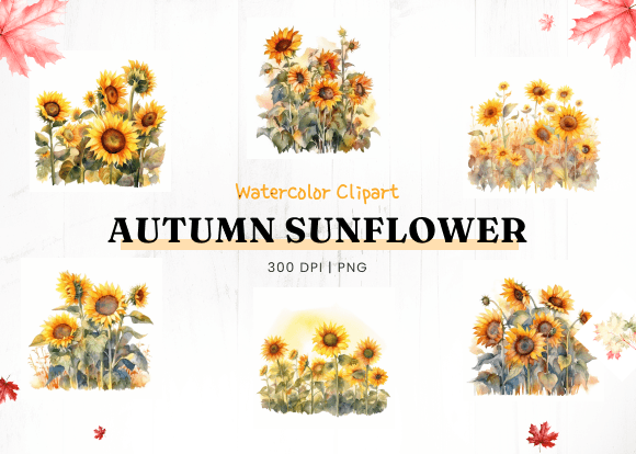 Download Autumn Sunflower Watercolor Clipart - Clipart Collection