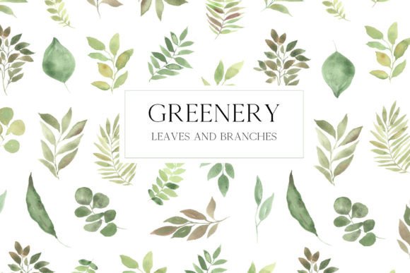 Download Watercolor Greenery Leaves Clipart - Clipart Collection