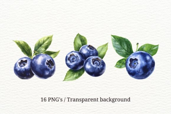 Download 16 Blueberry PNG Clipart Set - Clipart Collection