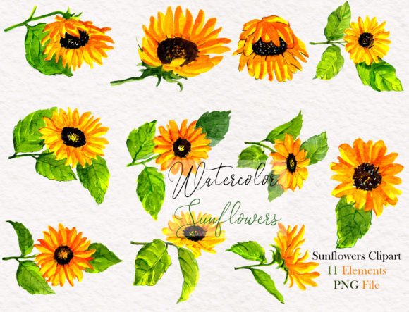 Download Watercolor Sunflower Elements Clipart - Clipart Collection
