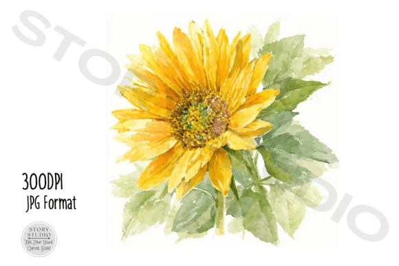 Download Watercolor Sunflower Clipart Set - Clipart Collection