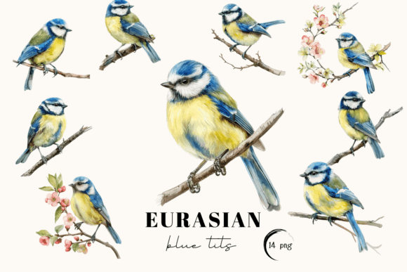 Download Blue Tit Bird Clipart, Eurasian Blue Tit - Clipart Collection