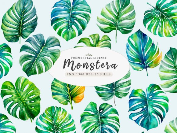 Download Greenery Monstera Leaves Clipart - Clipart Collection