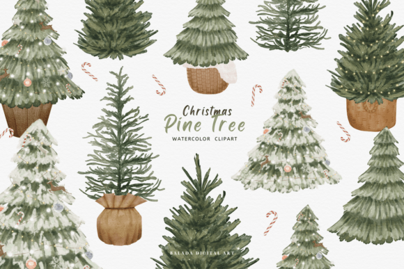Download Watercolor Christmas Pine Tree Clipart - Clipart Collection