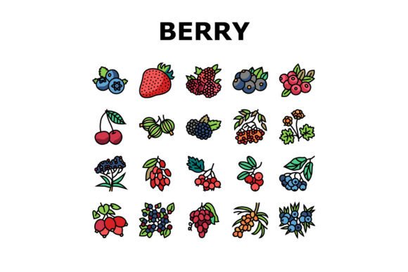 Download Berry Delicious and Vitamin Food Icons - Premium Resources