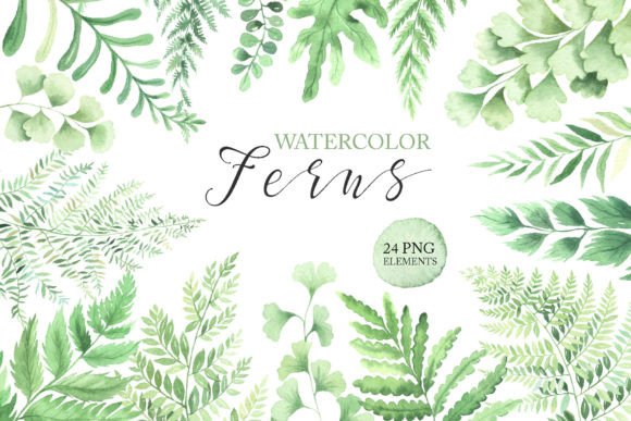 Download Watercolor Fern Green Leaves Clipart PNG - Clipart Collection