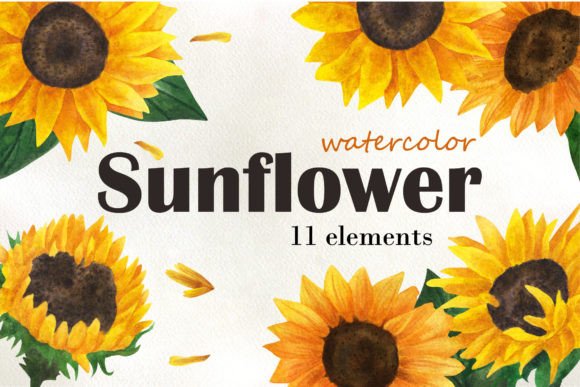 Download Sunflower Watercolor Clipart - Clipart Collection
