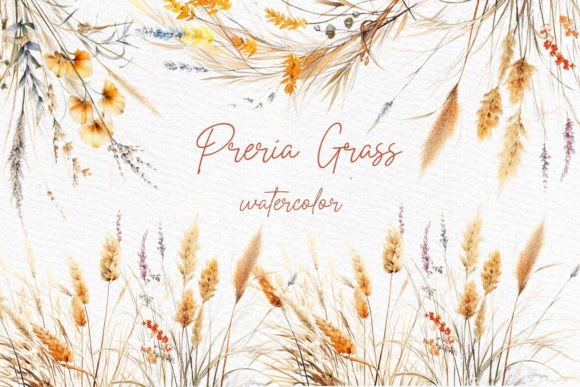 Download Grass Clipart Boho Pampas Grass PNG - Clipart Collection